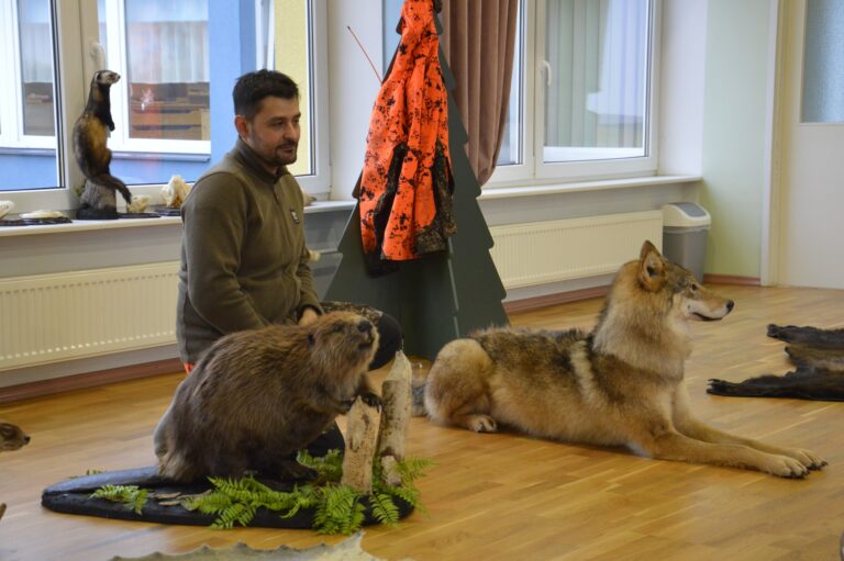 Näitus “Metsloomad”